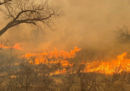 حرائق تكساس تخرج عن السيطرة ..إغلاق منشأة نووية وأوامر إجلاء