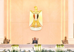 بالفيديو والصور .. الرئيس السيسي يثمن جهود المؤسسات الوطنية المصرية لمواجهة التحديات الناجمة عن الأزمات العالمية والإقليمية المتلاحقة
