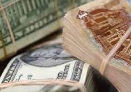 استقرار أسعار صرف الدولار مقابل الجنيه المصري في بداية التعاملات اليوم