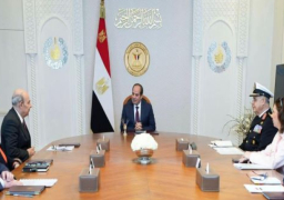 الرئيس السيسي يؤكد ترحيب مصر باستمرار التعاون مع الشركات الفرنسية في مجال الصناعات العسكرية