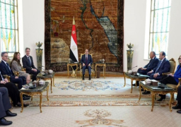 الرئيس السيسي يبحث مع بلينكن الجهود الرامية للتوصل إلى وقف إطلاق النار في غزة