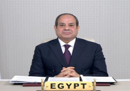 الرئيس السيسي يترأس أعمال اللجنة التوجيهية لرؤساء دول وحكومات “نيباد”