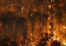 السلطات الأسترالية تحذر من تفشي حرائق الغابات بولاية “فكتوريا” بسبب الطقس الحار