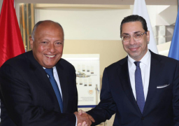 بالصور ..خلال زيارته إلى العاصمة نيقوسيا : وزير الخارجية يلتقي بالرئيس القبرصي ويجري مباحثات مع وزير خارجية قبرص