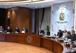 بالصور.. المجلس الأعلى للطاقة يعتمد الاستراتيجية الوطنية للهيدروجين مُنخفض الكربون