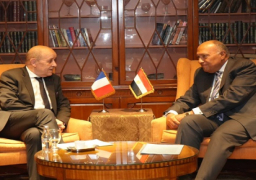 بالصور.. شكري يعقد مباحثات مع المبعوث الرئاسي الفرنسي إلى لبنان