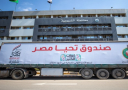 بالصور.. صندوق تحيا مصر يوفر 413 طن مواد غذائية لـ 170 ألف مواطن أولى بالرعاية في القليوبية
