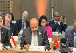 بالصور.. وزير الخارجية يشارك في جلسة بعنوان “دور مجموعة العشرين في التعامل مع التوترات الدولية الجارية”