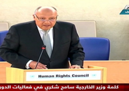 شكري أمام مجلس حقوق الإنسان بجنيف: نشدد على ضرورة الوقف الفوري لإطلاق النار في قطاع غزة