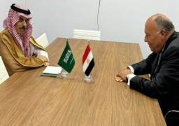 شكري يتبادل الرؤى مع نظيره السعودي بشأن تطورات الحرب الإسرائيلية على غزة