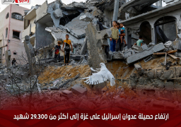 ارتفاع حصيلة عدوان إسرائيل على غزة إلى أكثر من 29.300 شهيد