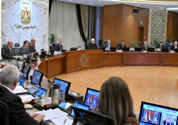 في اجتماع برئاسة مدبولي.. مجلس الوزراء يوافق على أكبر صفقة استثمار مباشر بشراكة استثمارية مع كيانات كبرى