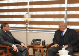 وزير التنمية المحلية يتابع مع محافظ الوادي الجديد المشروعات الخدمية والتنموية