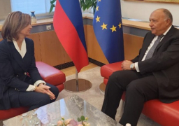 وزير الخارجية ونظيرته السلوفينية يجددان ضرورة الوقف الفوري لإطلاق النار في غزة