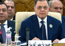 وزير الداخلية يؤكد موقف مصر الثابت والداعم للاستقرار العربي والإقليمي