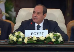 في كلمته الإفتتاحية بالقمة المصرية الأوروبية .. الرئيس السيسي : مصر أولت أهمية خاصة لعلاقتها مع الاتحاد الأوروبي