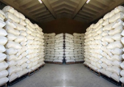 متحدث الوزراء : ضخ 300 ألف طن سكر قريبًا .. وإعلان خفض الأسعار الأسبوع المقبل