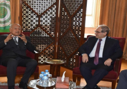 أبوالغيط: الحفاظ على سوريا وتكامل ترابها الوطني يعد محل إجماع كامل من الدول العربية