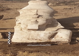 الآثار: الكشف عن الجزء العلوي من تمثال رمسيس الثاني في المنيا ترويج مهم للسياحة