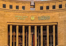 البنك المركزي : شبكة التمويل والاستدامة المصرفية ترفع تصنيف مصر لـ “التطبيق المتقدم”