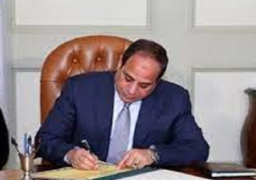 الرئيس السيسي يصدق على تعديل قانون جوازات السفر
