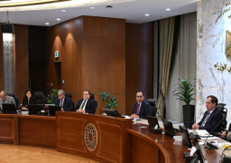 بالصور.. خلال اجتماع المجموعة الوزارية الاقتصادية.. مدبولي: مؤشرات إيجابية لحجم التدفقات الدولارية