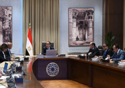 رئيس الوزراء: الجهاز المصرفي يوفر الاحتياجات الدولارية المطلوبة للإفراج عن مختلف البضائع والسلع
