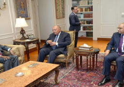 شكري يؤكد دعم مصر لمساعي الصومال في تحقيق الأمن والاستقرار والحفاظ على وحدة وسلامة أراضيه