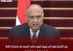 وزير الخارجية يتوجه إلى نيروبي لترؤس الجانب المصري في اجتماعات اللجنة المشتركة المصرية الكينية