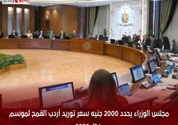 مجلس الوزراء يحدد ۲۰۰۰ جنيه سعر توريد أردب القمح لموسم ٢٤/ ٢٠٢٥