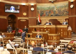 مجلس الشيوخ يناقش اليوم خطة الحكومة للتواصل مع الطلاب المصريين الدارسين بالخارج