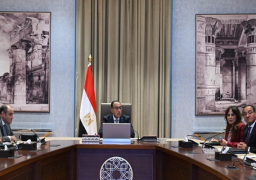 مدبولي: نواصل الجهود مع البنك المركزي للإفراج الفوري عن البضائع المتواجدة بمختلف الموانئ