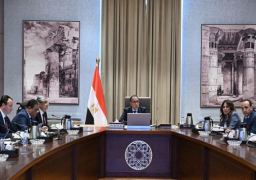 مدبولي يستعرض موضوعات متعلقة بالحوافز التي من شأنها زيادة نسبة الطاقة المتجددة في مزيج الطاقة