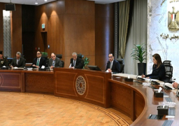 مدبولي يطالب بسرعة اجتماع مسئولي الغرف التجارية وإعلان انخفاض أسعار السلع بما يتوازى مع توافر الدولار