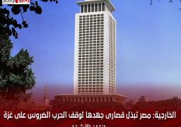 الخارجية: مصر تبذل قصارى جهدها لوقف الحرب الضروس على غزة وإنقاذ الأشقاء