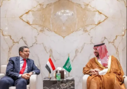 وزير الدفاع السعودي وبن مبارك يبحثان تطورات الأوضاع في اليمن