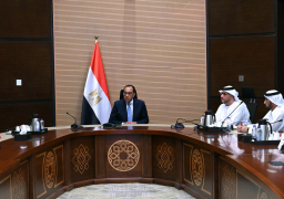 رئيس الوزراء يبحث مع مسئولي إمارة الفجيرة وشركة بروج للاستثمارات والغاز خطط التوسع المستقبلية في السوق المصرية