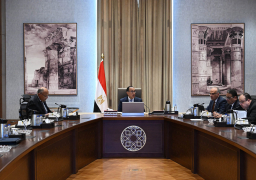 رئيس الوزراء يتابع جهود تفعيل التعاون بين مصر وجنوب السودان