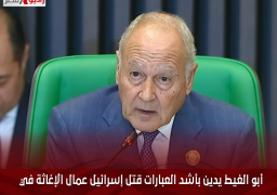 أبو الغيط يدين بأشد العبارات قتل إسرائيل عمال الإغاثة في غزة بدم بارد