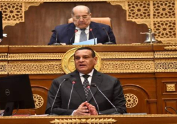 “التنمية المحلية”: الرئيس السيسي يولي اهتماماً كبيراً بملف التصنيع الزراعي