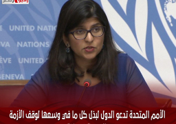 الأمم المتحدة تدعو الدول لبذل كل ما في وسعها لوقف الأزمة المروعة في غزة