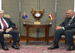 بالصور .. شكري يحذر من استمرار تأزم الأوضاع الإنسانية الكارثية في قطاع غزة