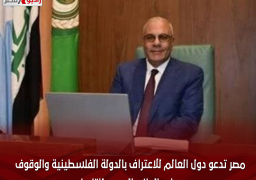 مصر تدعو دول العالم للاعتراف بالدولة الفلسطينية والوقوف على الجانب الصحيح للتاريخ