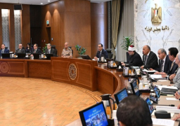 خلال اجتماع الحكومة.. رئيس الوزراء: الدولة بمختلف أجهزتها حريصة على إتاحة الدعم اللازم للمُصنعين والمصدرين المصريين