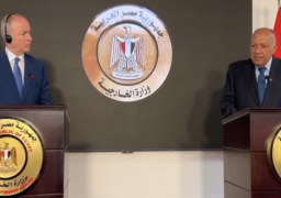 خلال مؤتمر صحفي مع نظيره الإيرلندي.. شكري يؤكد ضرورة وقف إطلاق النار بغزة والعمل على منع تصفية القضية الفلسطينية