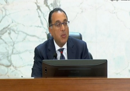 رئيس الوزراء: تراجع أسعار السلع الأساسية بنحو 27 % بمختلف المحافظات