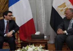 شكري ونظيره الفرنسي يؤكدان رفضهما لأية إجراءات تهدف تهجير الفلسطينيين