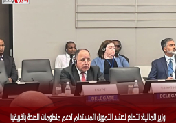 وزير المالية: نتطلع لحشد التمويل المستدام لدعم منظومات الصحة بأفريقيا