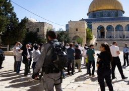 مستوطنون يقتحمون المسجد الأقصى بحماية الاحتلال.. واعتقال 40 فلسطينيا من الضفة خلال 24 ساعة