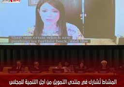 المشاط تُشارك في منتدى التمويل من أجل التنمية للمجلس الاقتصادي والاجتماعي التابع للأمم المتحدة ECOSOC